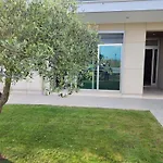 Olive Ap. Торрейра