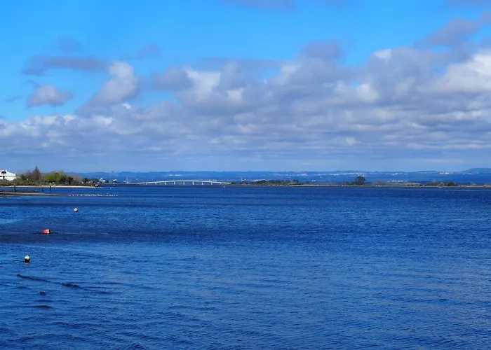 Apartament Olive Ap. Torreira