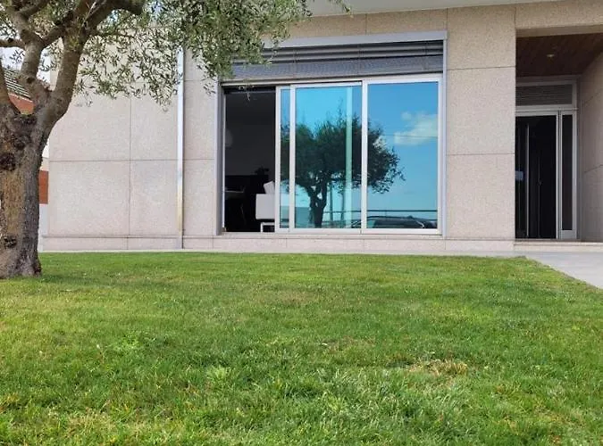 Olive Ap. * Torreira