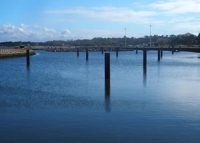 Olive Ap. * Torreira